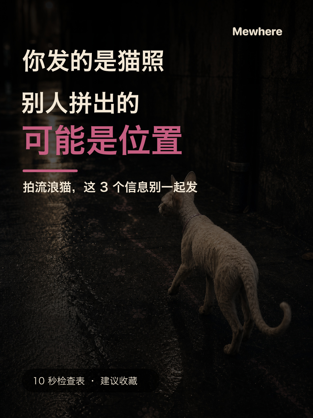 你发的是猫照,别人拼出的可能是位置