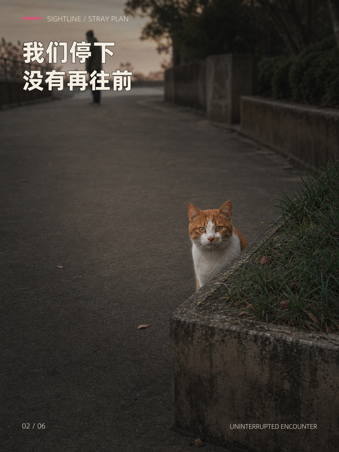 它只露半张脸，却一直没走，第 2 张图