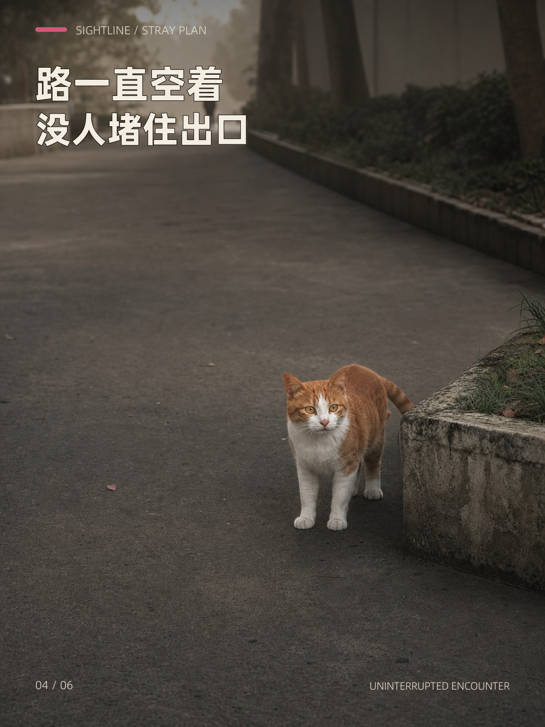 它只露半张脸，却一直没走，第 4 张图